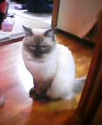 �O���ƕR���̂R�i���E�ɂ͓����Ă���j